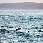 Rondel Isla De Arousa *