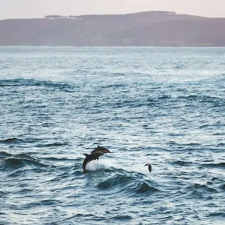 Rondel Isla De Arousa *