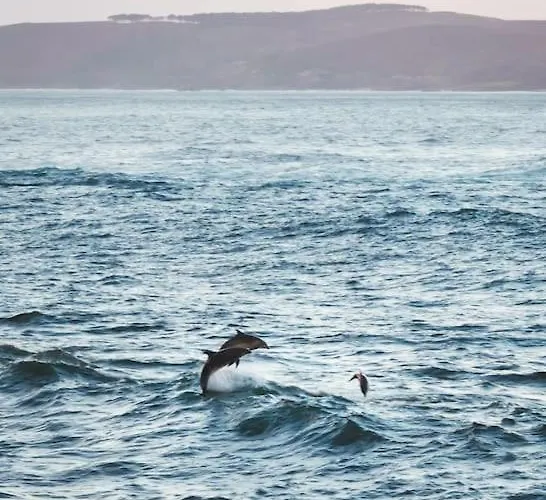 Rondel Isla De Arousa *